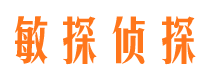 右江市私家侦探